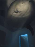 234