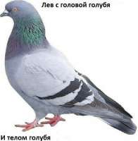58