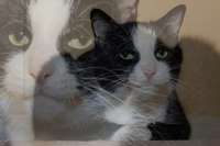 166