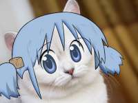 117
