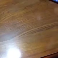 292