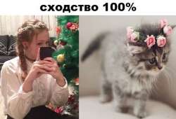 130