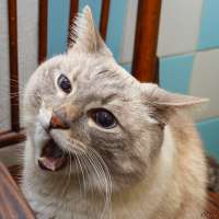 381