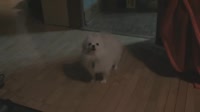 7282
