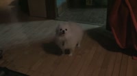 3102