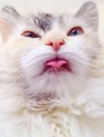 57