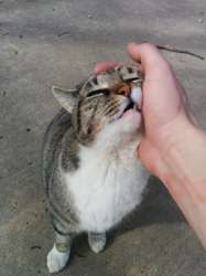 170