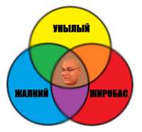 533x496