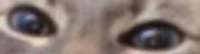 420x115