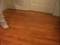 480x360