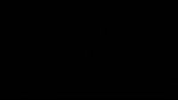446x254