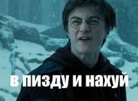 500x368