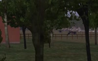 576x360