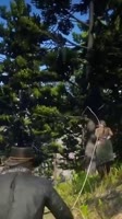 460x816