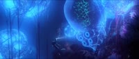 640x274