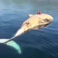 360x360