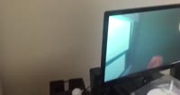 640x340