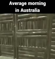 480x510