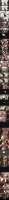 1920x38880