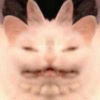 900x900