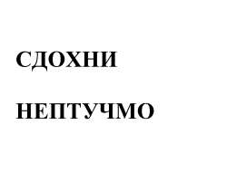952x728