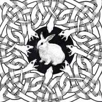 1358x1358