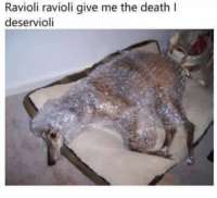 500x456