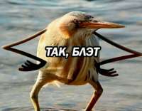 594x464