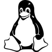 626x626