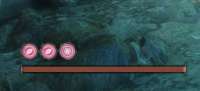 493x225
