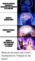 500x856