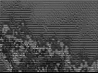 720x540