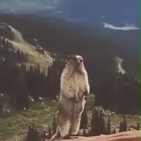 360x360