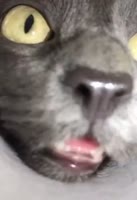 494x720