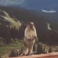 360x360
