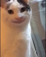 640x800