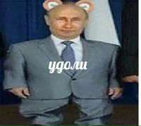 540x481