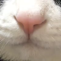 640x640