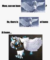 600x708