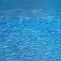 320x320
