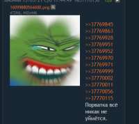 393x351