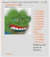 373x431
