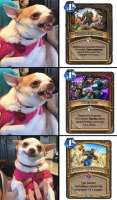 392x670
