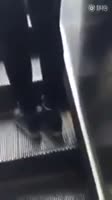 240x426
