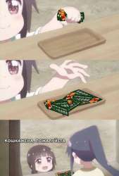 734x1080