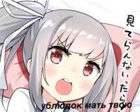 336x268