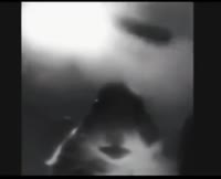 442x360