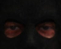 390x318
