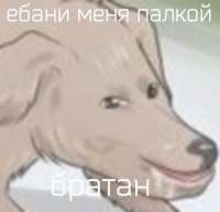 600x581