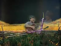 320x240